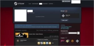 CONTA STEAM NÍVEL 23