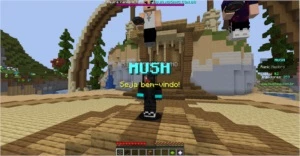 Conta semi-full acesso de Minecraft Original