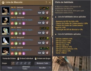 Ninja Succ 62 - 594 GS - Black Desert