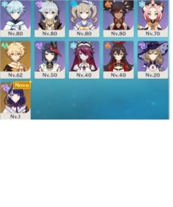 10 char 5* | 8 weapons 5* | 30 char - Genshin Impact
