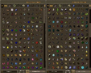 Vitrine 913✅ - Runescape RS