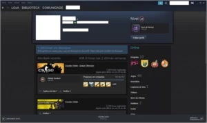 Conta Steam CS:GO 15 Anos Steam lvl28 - Counter Strike