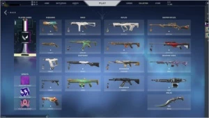 CONTA DO BETA, 400R$+ Skins, conta ex immortal com amuleto - Valorant
