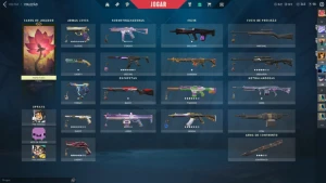 Conta Valorant 1k800 gastos