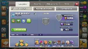 Conta Clash Of Clans Cv14 Top Full Acesso + 800 Gemas