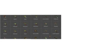 Sell MS 431 Descubra - Tibia