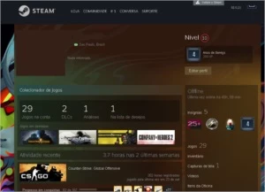 Conta Steam + 4 anos de serviços e 29 jogos