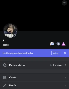 conta apoiador inicial discord