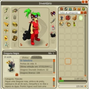 Conta no dofus servidor spiritia