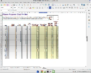 Fitness Progress Tracking Spreadsheet - Outros