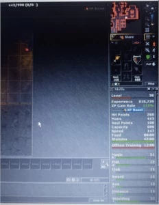 Sorcerer Level 38 (Lobera) - Tibia