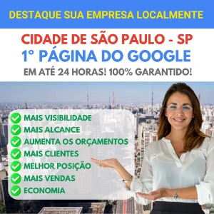 1° Primeira Página do Google SÃO PAULO - SP em até 24 Horas! - Outros