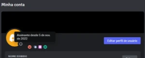 Conta Discord de 2016 com insígnia de 11 meses - Redes Sociais