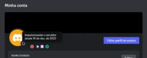 Conta Discord de 2016 com insígnia de 11 meses - Redes Sociais