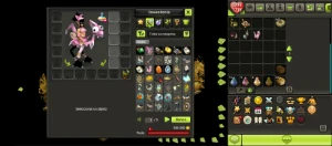 Conta LVL 200 dofus touch - Brutas