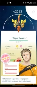 ACC POKEMON GO NV34 - Pokémon