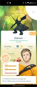 ACC POKEMON GO NV34 - Pokémon