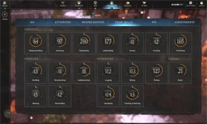 Conta New world lvl 60/ GS 625 / sets de dg / skins