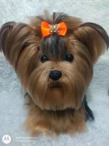 Cachorrinho Yorkshire - Amigurumi De Crochê - Artesanato e Personalizados
