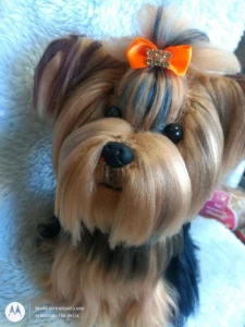 Cachorrinho Yorkshire - Amigurumi De Crochê - Artesanato e Personalizados