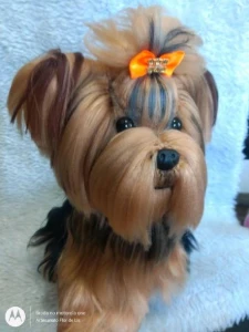 Cachorrinho Yorkshire - Amigurumi De Crochê - Artesanato e Personalizados