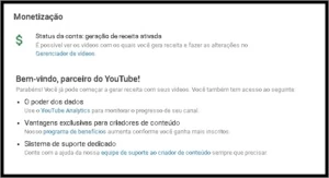 Canal Youtube 1700 Inscritos Monetizado - Outros