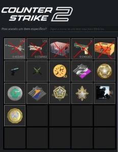 Conta Cs2 + Prime +Gc Lvl 18 +Faceit 8 - Counter Strike