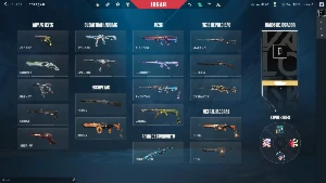 Conta Valoran - Card Beta e Skins Limitadas + Conta LOL - Valorant