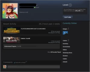 Conta steam PUBG + Balistic Overkill.