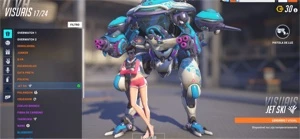 CONTA OVERWATCH COM MUITAS SKINS E DVA NANO COLA - Blizzard