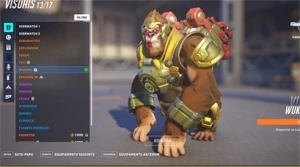 CONTA OVERWATCH COM MUITAS SKINS E DVA NANO COLA - Blizzard
