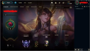 Conta LOL Diamante 4 - 29 champ - 6 skins WR ALTO - League of Legends