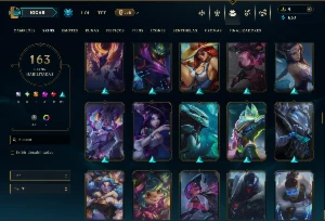 Unranked com TODOS os Champs e 163 Skins ( MAIN SUP ) - League of Legends LOL