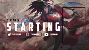 Stream Overlay - Outros