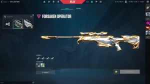 Conta Radiante (Muitas Skins E Ja Foi Top 1 1200 Pontos) - Valorant