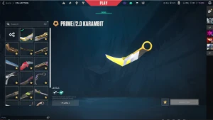 Conta Radiante (Muitas Skins E Ja Foi Top 1 1200 Pontos) - Valorant