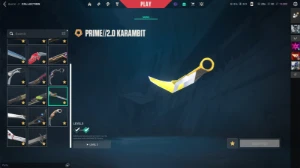 Conta Radiante (Muitas Skins E Ja Foi Top 1 1200 Pontos) - Valorant