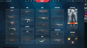 Conta Radiante (Muitas Skins E Ja Foi Top 1 1200 Pontos) - Valorant