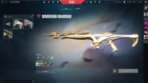 Conta Radiante (Muitas Skins E Ja Foi Top 1 1200 Pontos) - Valorant