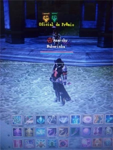 Mercenario Top PWBR 900 Reais - Perfect World