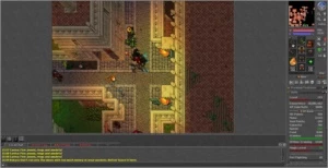 TIBIA MS 153