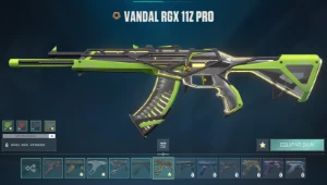 Conta valorant R$1000+ Gastos