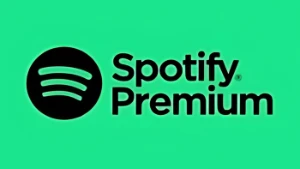 Spotify Premium Vitalício - Assinaturas e Premium