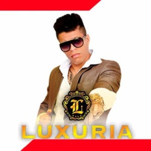 Pack de Vídeos pra anúncios + Bônus