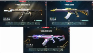 Conta De Valorant Mais De 1800 Reais Gastos