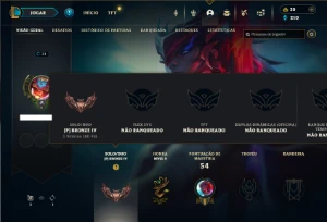 Bronze 4 com 40 Champs e 14 Skins + 2 Espolios - League of Legends LOL