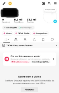 CONTA TIK TOK 11.6k seguidores - Blizzard