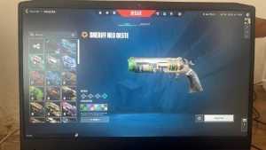 +1000 gastos/pacote ORA/Vandal gatinho, Gaia/ phantom video - Valorant