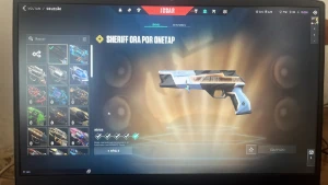 +1000 gastos/pacote ORA/Vandal gatinho, Gaia/ phantom video - Valorant