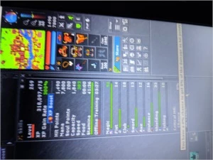 VENDO MS 269 EM GENTEBRA 32 DIAS DE PREMIUM - Tibia